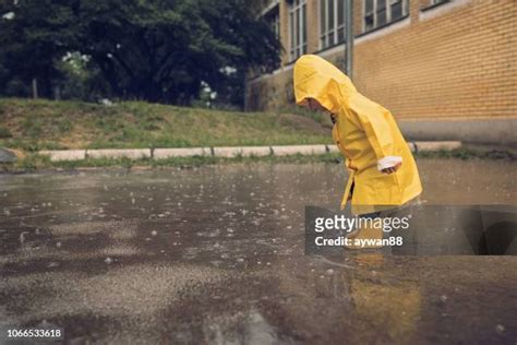 下大雨圖片|612,694 大雨 Stock Photos, High